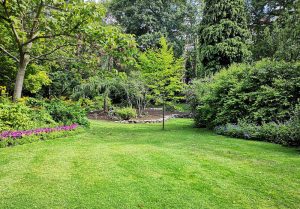 Optimiser l'expérience du jardin à Sable-sur-Sarthe